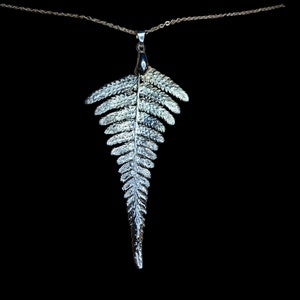Silver fern, Real frond pendant (779)