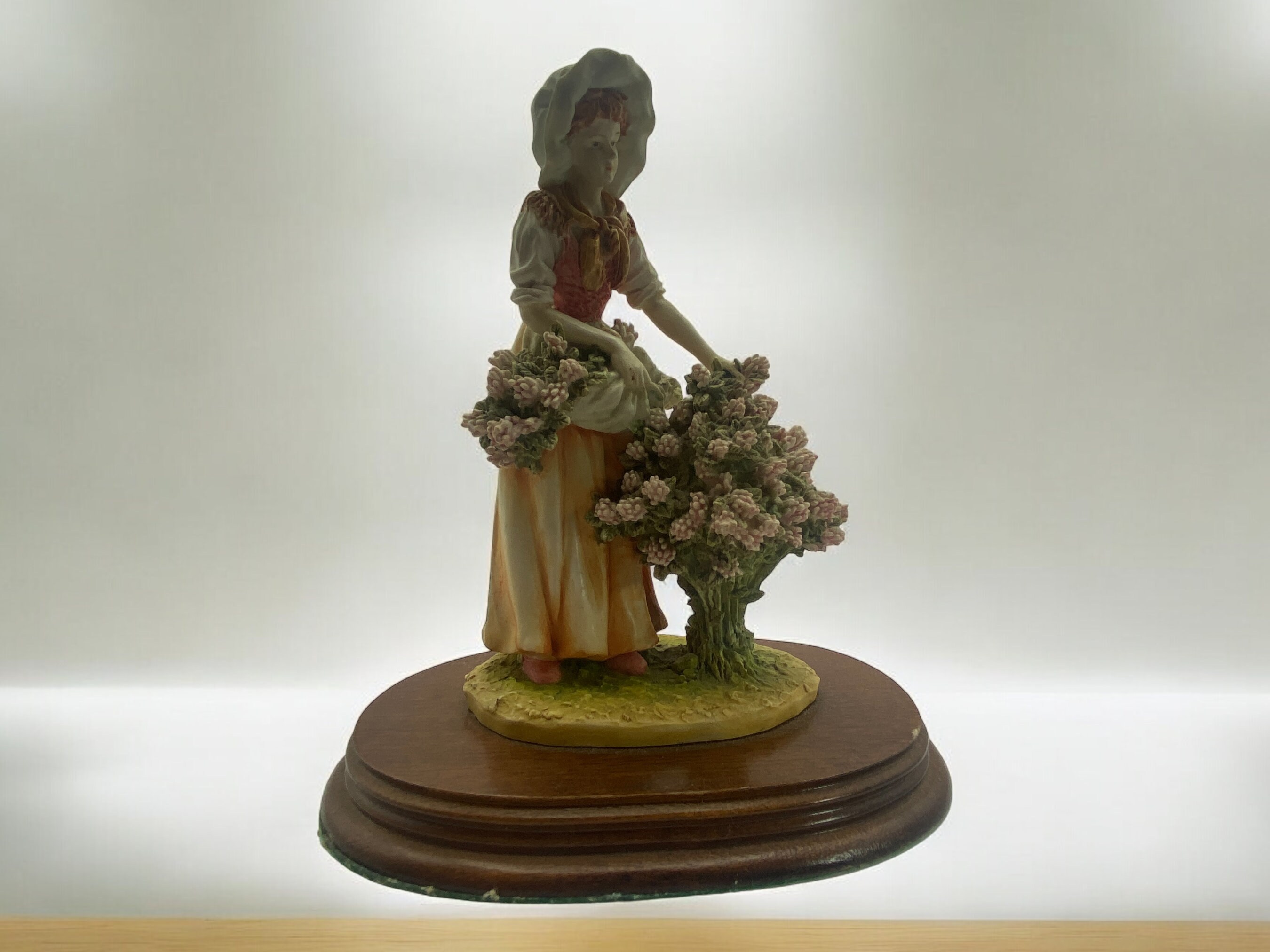 レオナルド・コレクション\