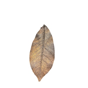 Copper skeleton leaf pendant, Real leaf