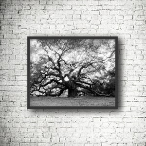 Black and White Live Oak Tree, Charleston SC, Angel Oak Tree Photograph, Johns Island, Halloween wall art printable, Charleston Artwork Gift image 2
