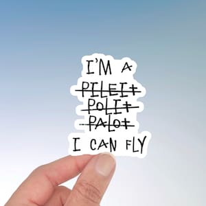 I can fly I&#39;m a pilot sticker, aviation stickers for pilot co pilot, flying sticker airline pilot, small gift for pilot air force graduation