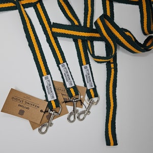 Dog Leashes