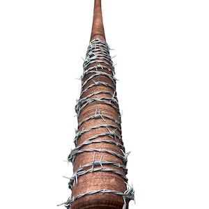 May include: A brown wooden baseball bat wrapped in barbed wire.