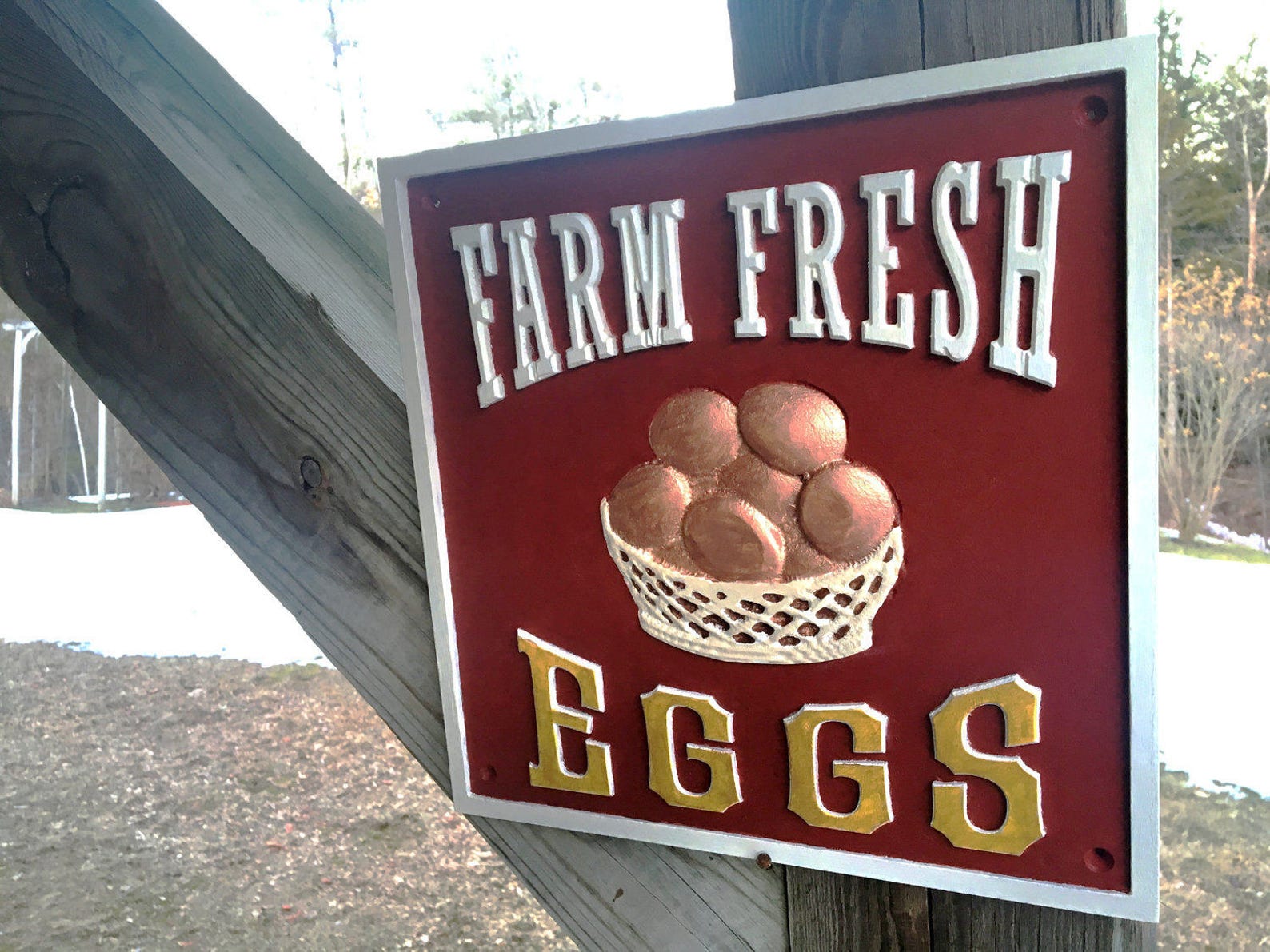 Farm Fresh Egg Sign, 12 X 12 X 1, Egg Sign, Father's Day, Hand Painted