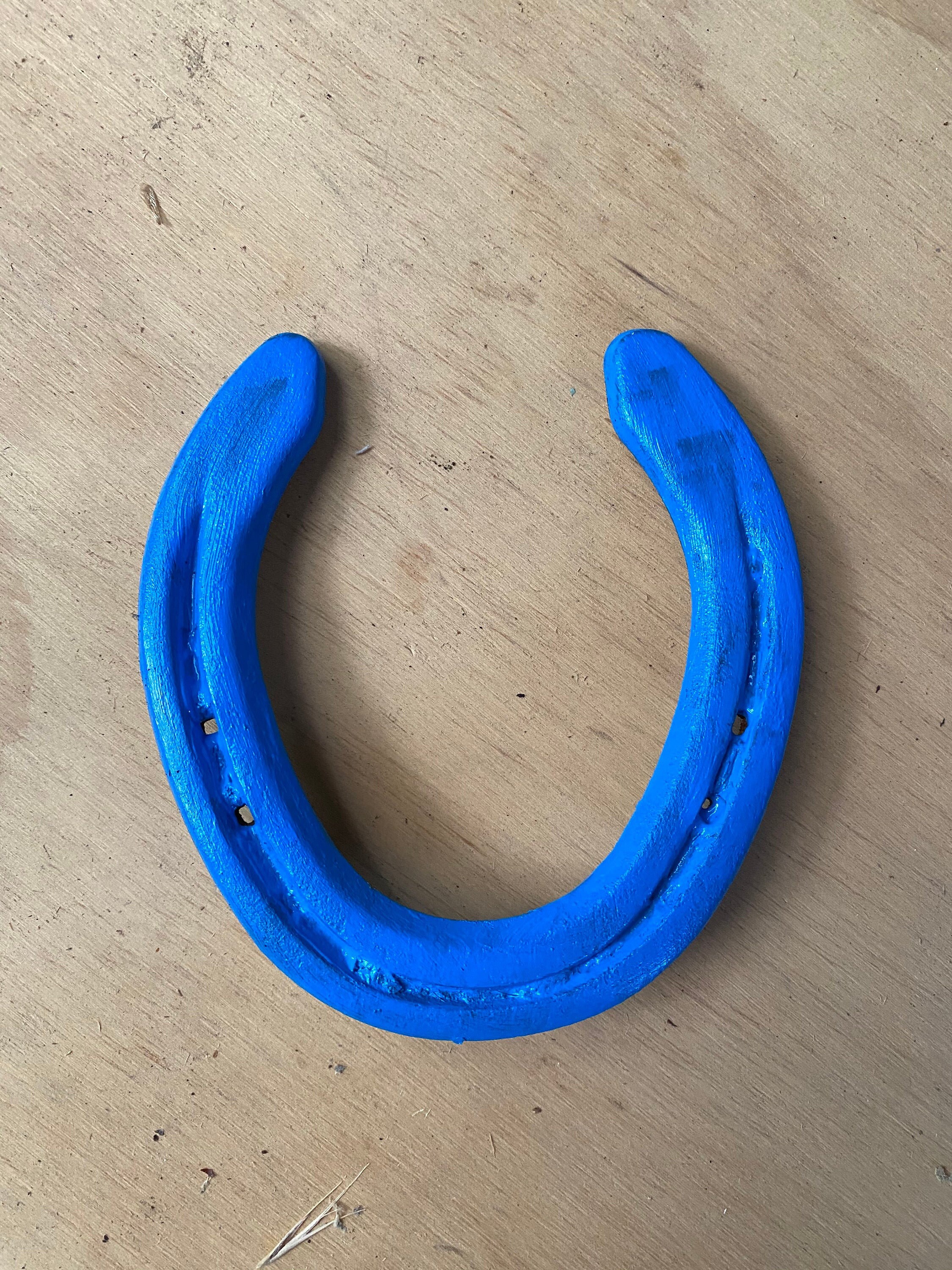 Handpainted Solid Horse Shoe to Bring Good Luck Etsy