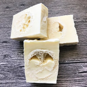 Loofah Soap - Exfoliating Soap - Peppermint Soap - Organic Soap