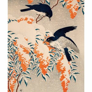 Poster A3 Japanse print Nandina