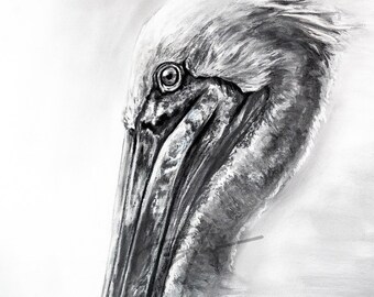 Limited Edition "Jemison's Lookout" Charcoal Portrait | Pelican Portrait by Brandon Finnorn