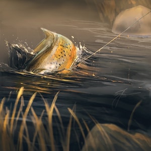 Brown Trout Take | Digital Art Prints by Brandon Finnorn | Fly Fishing