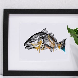 Redfish Tail Melting Portrait | Pastel Charcoal Artwork | Inshore