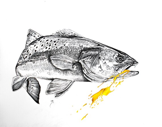 Download Redfish Tail Splashing Blue Inshore Saltwater Fishing Portrait Prismacolor And Charcoal Artwork Giclee Prints And Original Colored Pencil Art Collectibles Tripod Ee