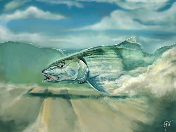 Bonefish on Flat Digital Painting / Giclee Prints / Fly Fishing Artwork /  Inshore Fish Saltwater Art Print / Coastal Artwork The Bonnie Fly