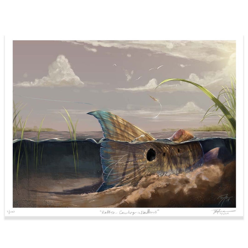 Redfish Crawling in Shallows Digital Painting / Giclee Prints / Fly Fishing Artwork / Inshore Fish Saltwater Art Print / The Bonnie Fly image 3