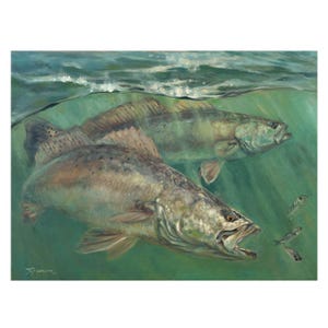 May include: A painting of two speckled trout swimming underwater. The fish are in a green and blue water setting. The larger trout has its mouth open, as if it is about to catch a smaller fish.