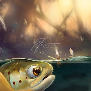 Brown Trout Rising Day 6  | Brown Trout Life Cycle Series