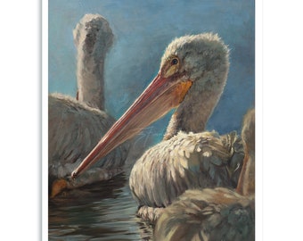 A Glance Back White Pelican Print | Bird Prints by Brandon Finnorn