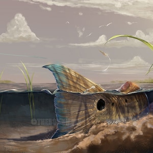 May include: A brown and tan fish with a blue tail fin is partially submerged in water. The fish is swimming towards the surface of the water. The water is clear and the sky is a light blue with white clouds. The fish is in a shallow body of water with green reeds growing along the edge.