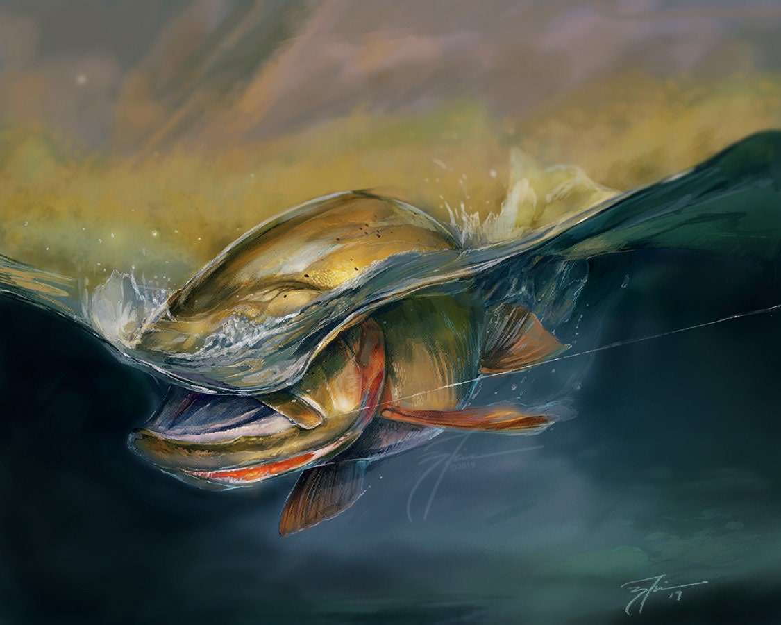 Brook スウェット　rainbow trout
