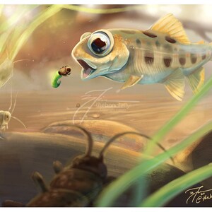 Brown Trout Fry Day 4  | Brown Trout Life Cycle Series
