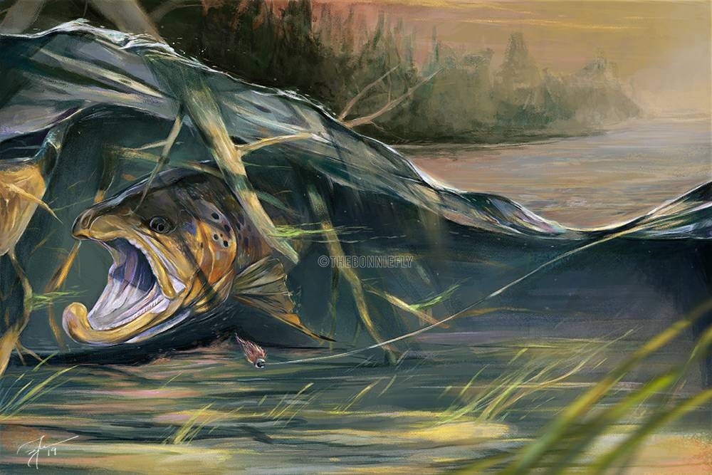 Tangled Brown Trout | Fly Fishing Artwork | Giclee Print | Take Series |  Brandon Finnorn Artwork | Fish Decor | Rainbow Brook Cutthroat