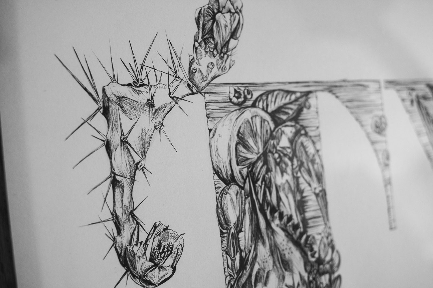 Texas in Ink | Black and White Giclee Prints - Etsy