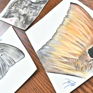 Inshore Slam Giclee Print Collection / Tail Series / Redfish / Speckled Trout / Summer Flounder / Fisherman Gift / Flies Lures