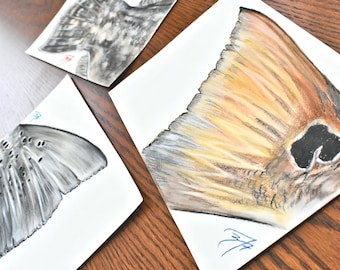 Inshore Slam Giclee Print Collection / Tail Series / Redfish / Speckled Trout / Summer Flounder / Fisherman Gift / Flies Lures