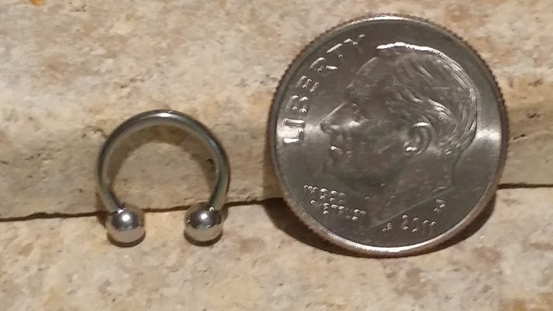 May include: A silver horseshoe-shaped body piercing with two round balls on the ends.