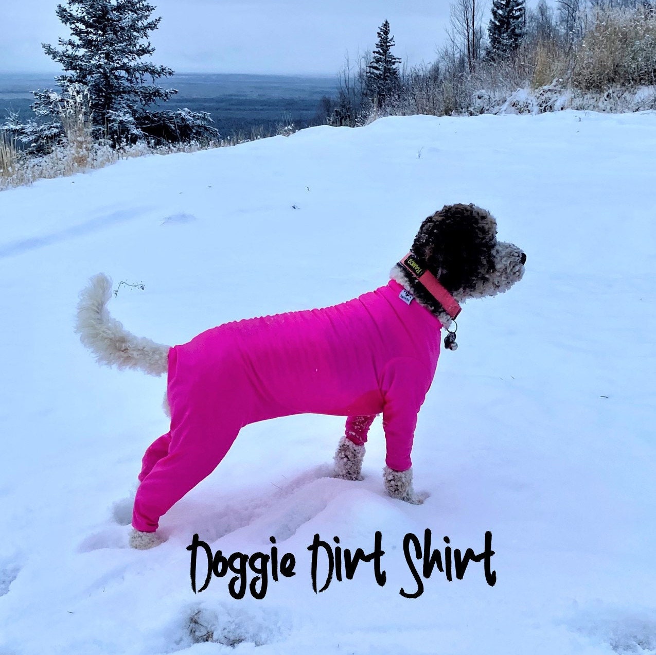 Custom Dog Clothes Bodysuit for Dogs Dog Suit Doggie Dirt Etsy UK