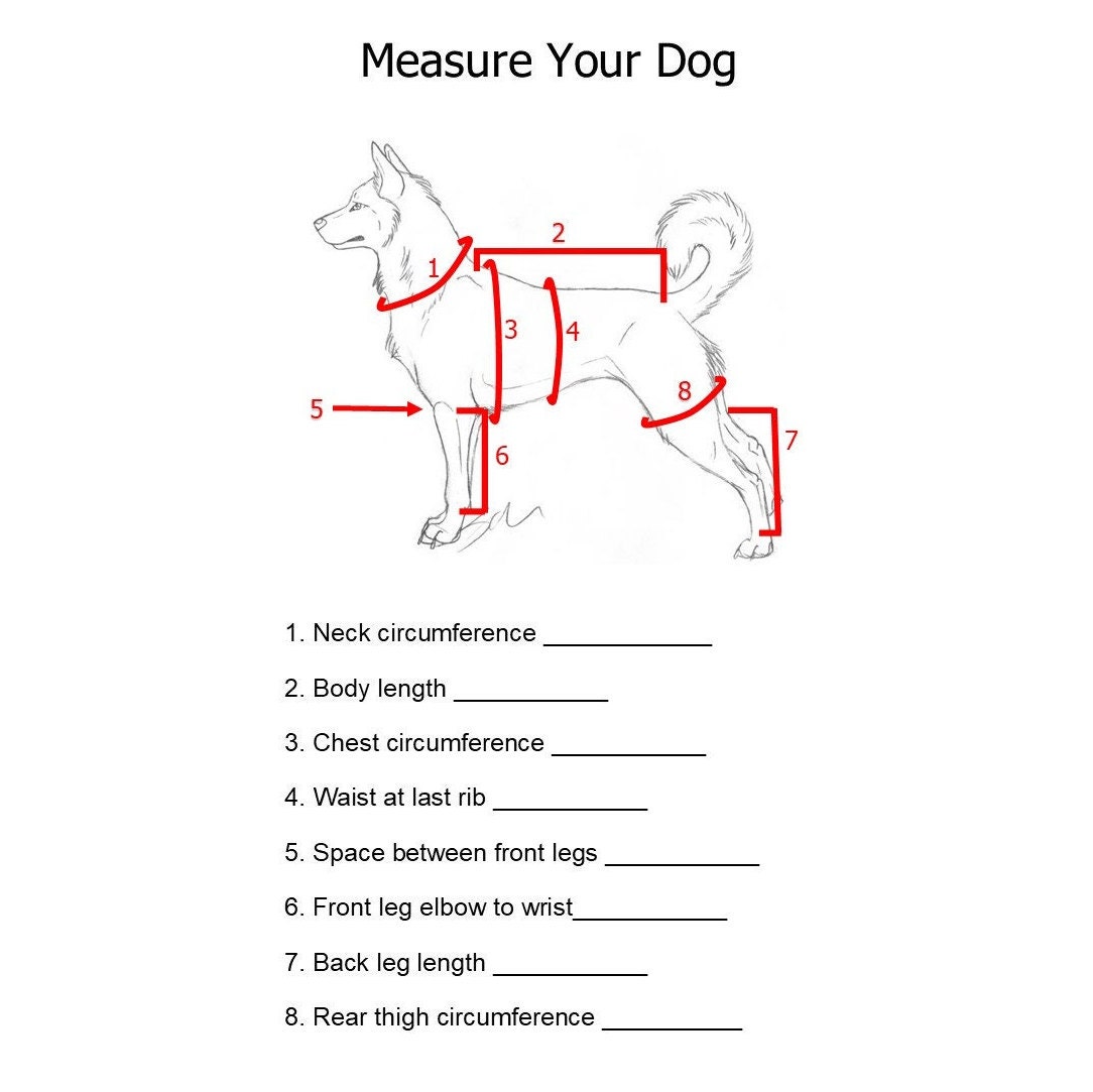 Custom Dog Clothes Bodysuit for Dogs Dog Suit Doggie Dirt Etsy Australia