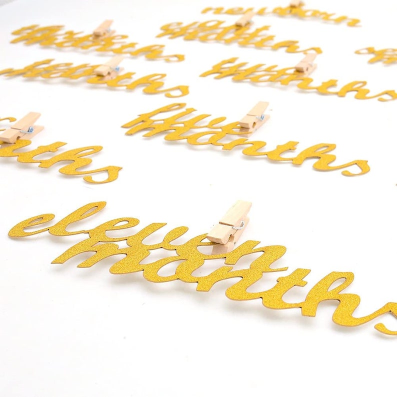 4 X 6 Inches 12 Month Photo Banner First Birthday Decoration Photo Banner for First Birthday Party Tiny Wooden Clothespins Glitter Cardstock