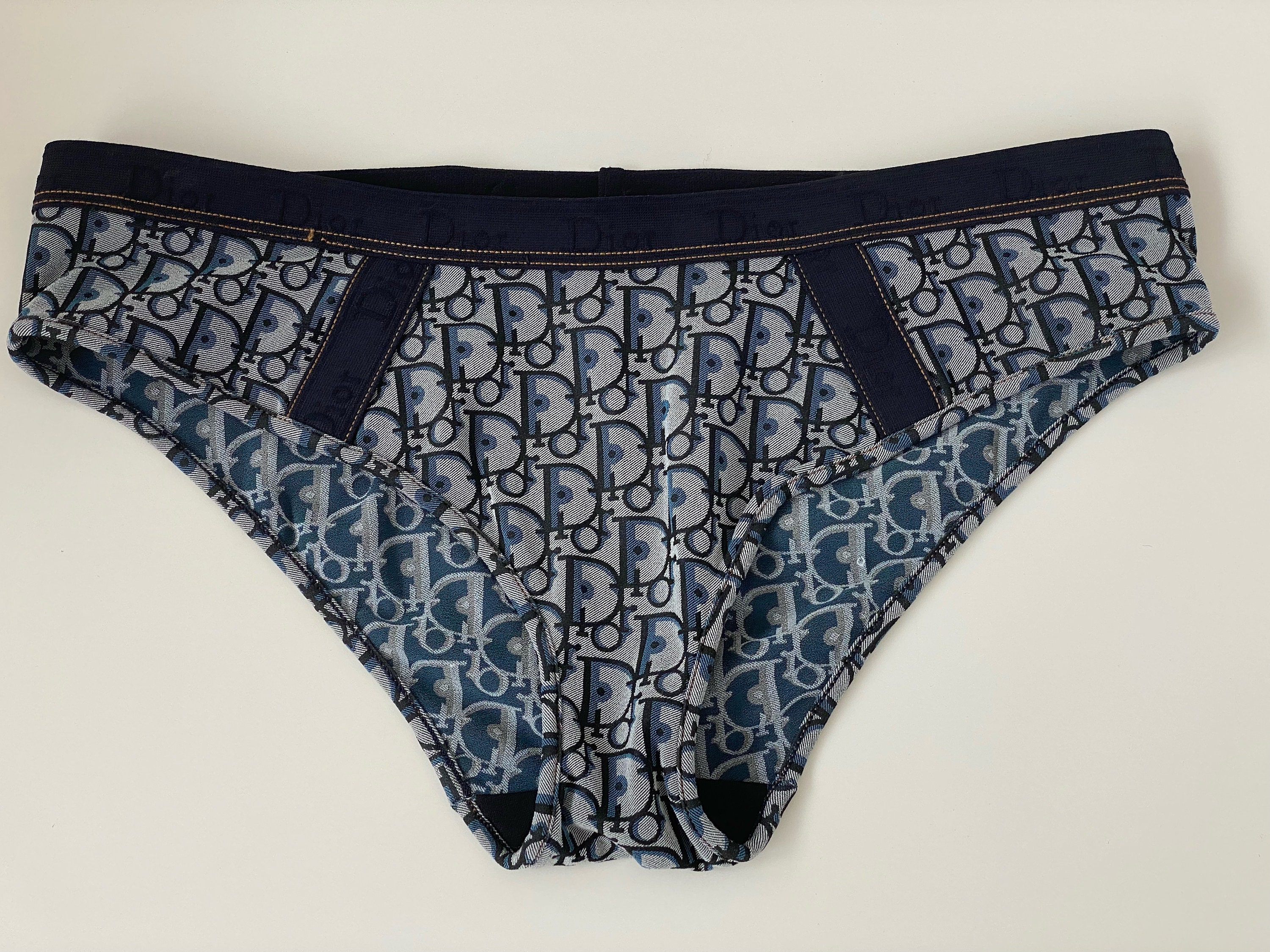 DIORISSIMA CHRISTIAN DIOR （ネコ） Vintage CHRISTIAN DIOR Monogram Logo Trotter Diorissimo Oblique