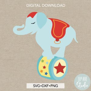 May include: A blue elephant with a red saddle balances on a blue and yellow toy drum with red stars. The text "SVG.DXF.PNG" and "10th AVE Studio" are at the bottom of the image.