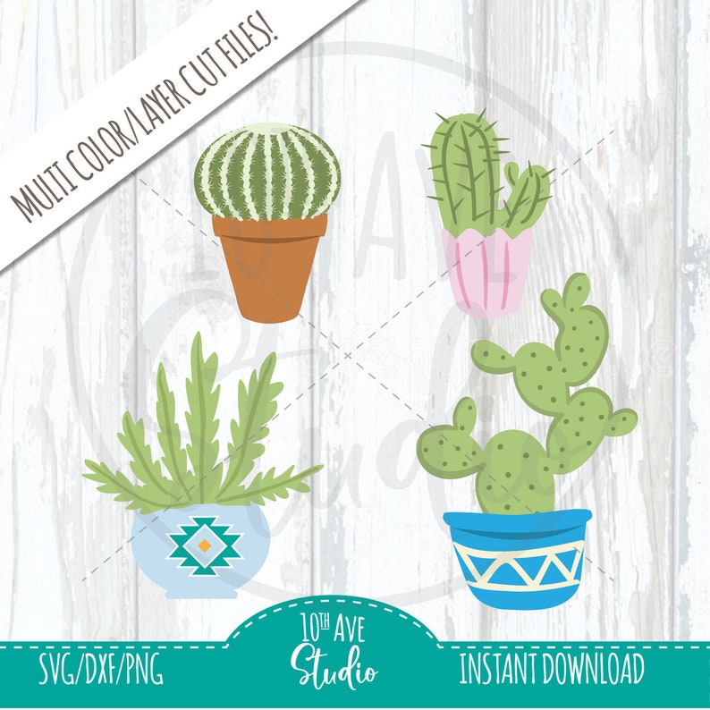 Download Hand Drawn Cactus Multi-layer/color SVG/PNG/DXF Clipart ...