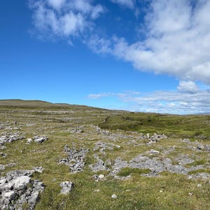 May include: A wide shot of a rugged landscape featuring a mix of rocky ground and patches of green grass under a blue sky with fluffy white clouds. A stone wall and a dirt track are visible on the right.