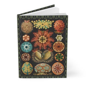 Sea Squirts by Ernst Haeckel Hardcover Journal Matte, Marine Life Notebook, Ocean Lover Gift, Scientific Sketchbook, Nautical Planner
