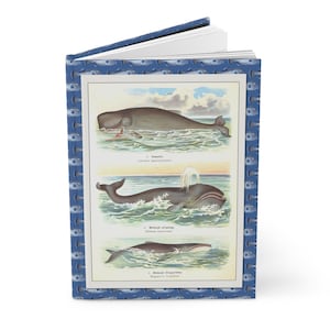 Whale Themed Hardcover Journal, Sea Life Notebook, Ocean Lover&#39;s Gift, Marine Print Diary