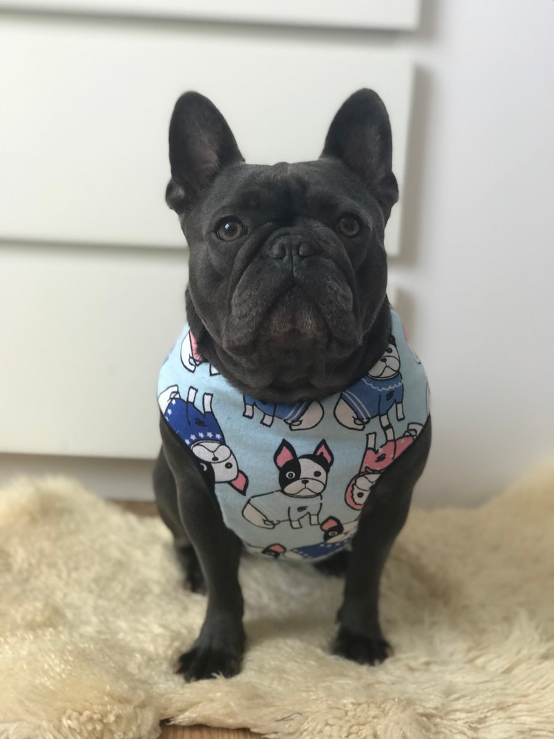 S L M XL Boston Terrier harness NEW ******* French Bulldog Adjustable Dog Harness Blue print fabric bulldog harness