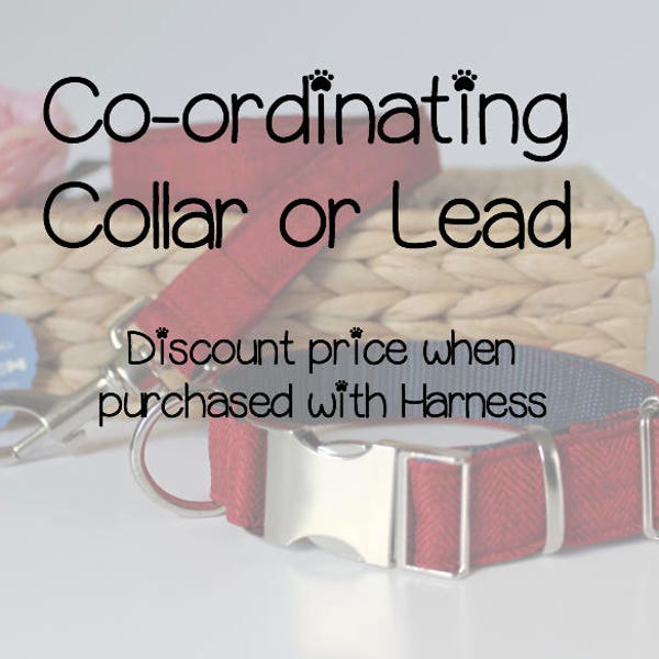 Co-ordinating items, including, Leads OR collars OR bow-ties to Match Harnesses