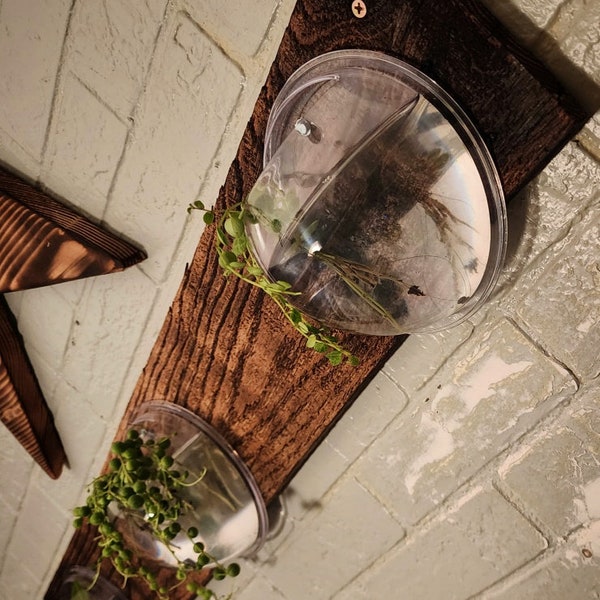 Outdoor Wall Planter Etsy