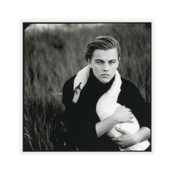 レオナルド・ディカプリオのステッカー - 白鳥の写真 - Etsy 日本