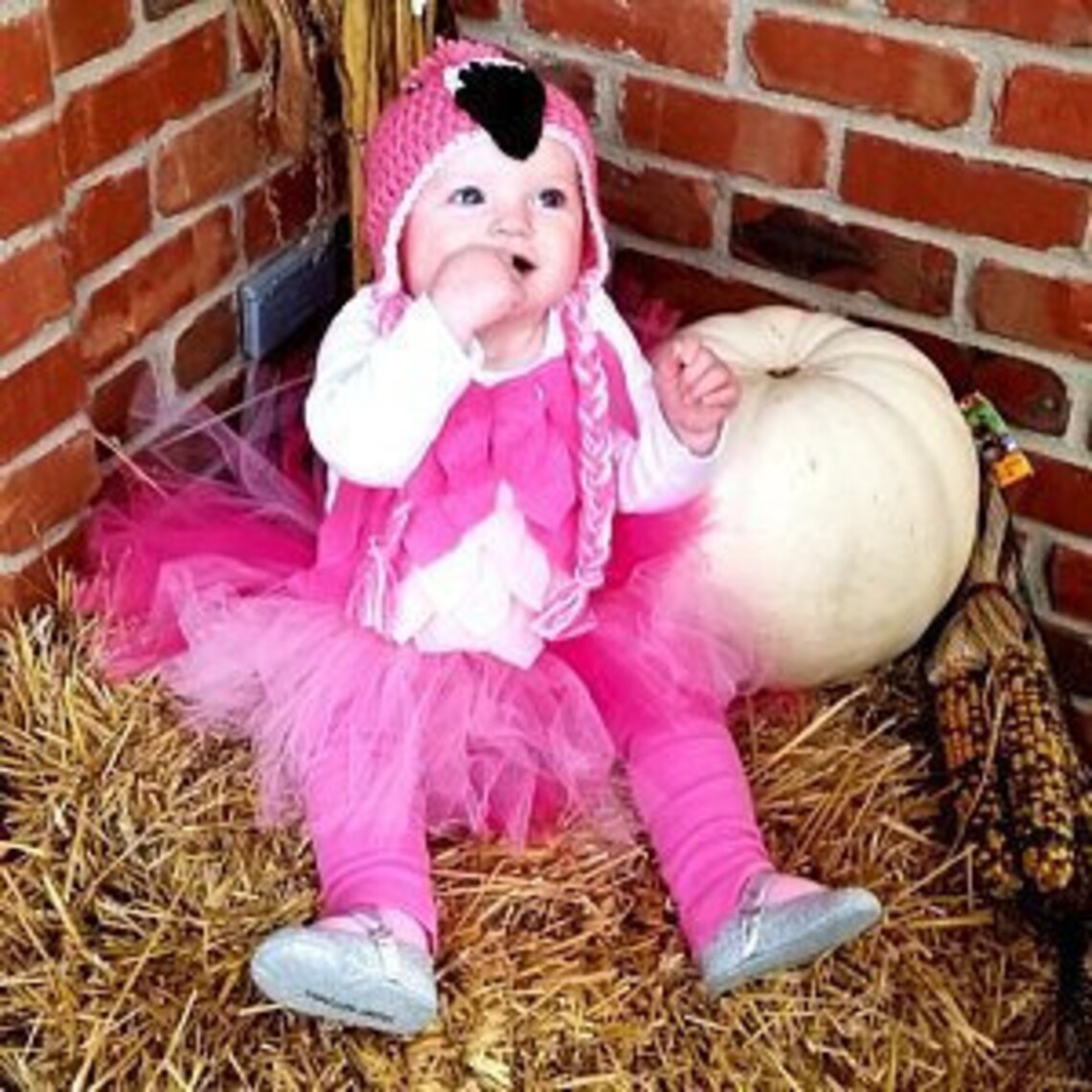 Halloween Baby Flamingo outfit costume baby Flamingo TUTU Etsy