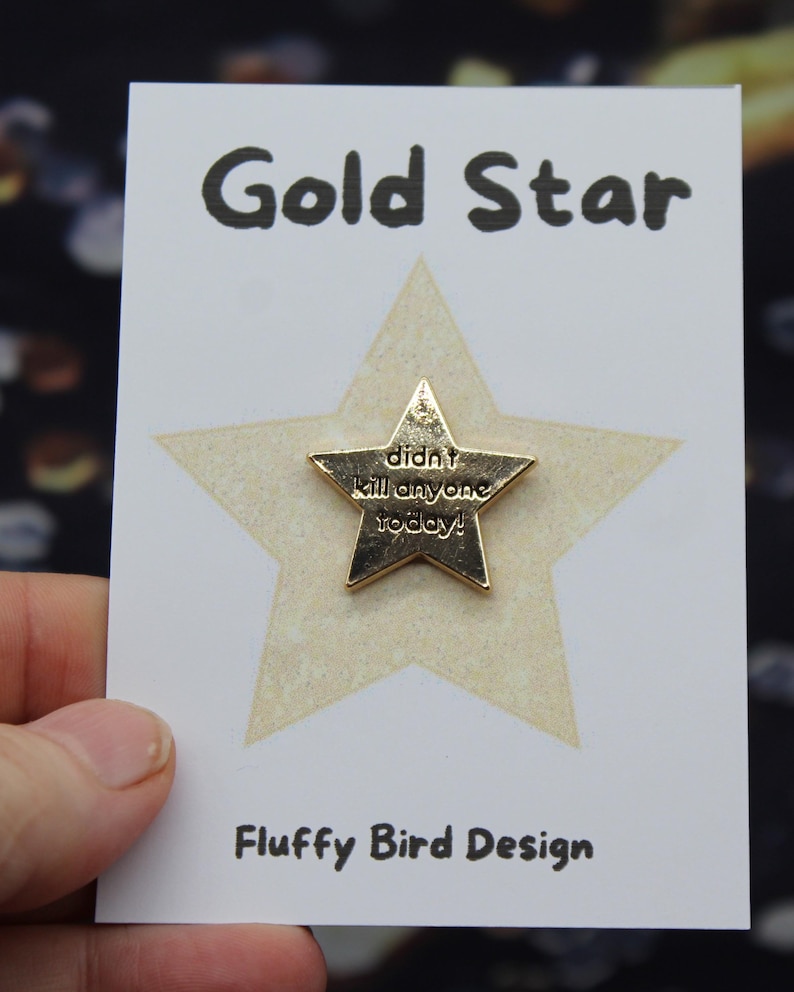 Gold star enamel pin on printed backing card titled “Gold Star.” Funny motivational badge for stress relief or anger management, adult humour gift, or neurodivergent reward pin.