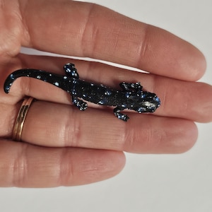 Resin Blue Spotted Salamander Juvenile