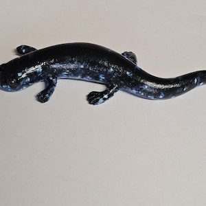 Salamander Magnet