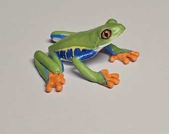 ボンガオツリーフロッグ。本物の保存標本。カエル。ヒキガエル。珍品