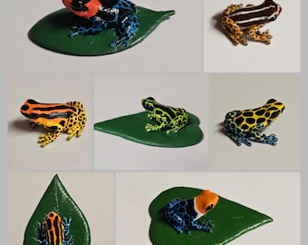 MTO: Ranitomeya Dart Frog