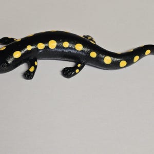 Salamander Magnet