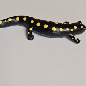 Salamander Magnet