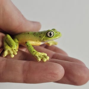 Resin Lemur Leaf Frog